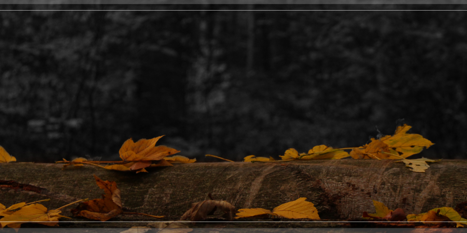 backgroundscreen