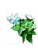 flower_ml